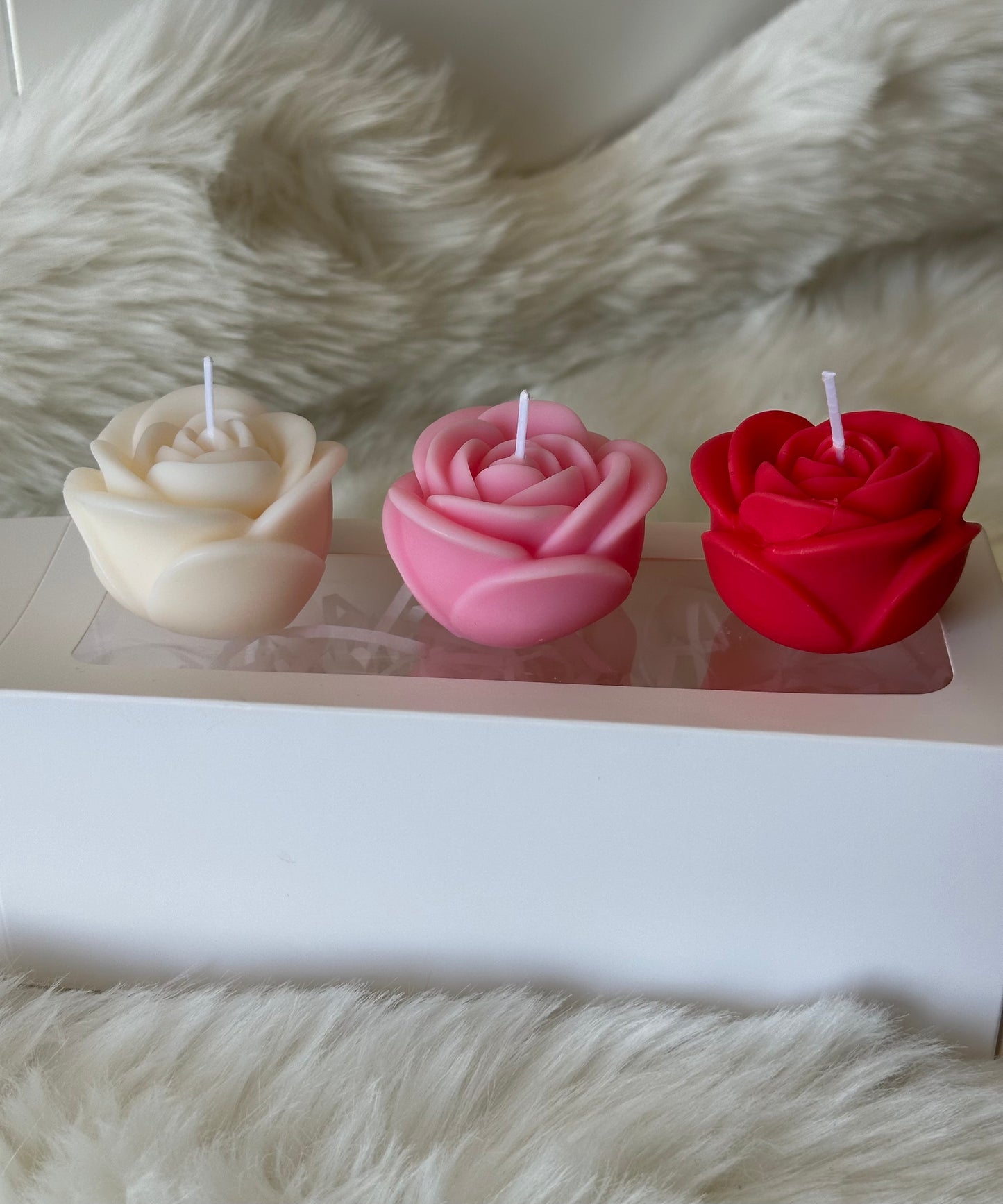 Écrin de roses tricolore